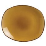 Terramesa Mustard Spice Plate 25.5cm (10")
